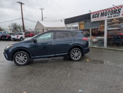 2017 Toyota RAV4 Platinum 4X4 full