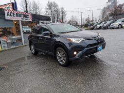 2017 Toyota RAV4 Platinum 4X4 full