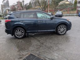 2017 Toyota RAV4 Platinum 4X4 full