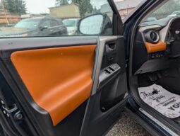 2017 Toyota RAV4 Platinum 4X4 full