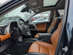 2017 Toyota RAV4 Platinum 4X4 full