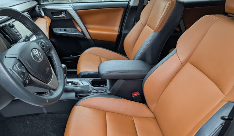 2017 Toyota RAV4 Platinum 4X4 full