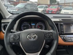 2017 Toyota RAV4 Platinum 4X4 full