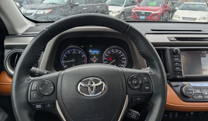 2017 Toyota RAV4 Platinum 4X4 full