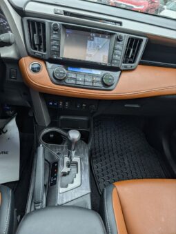 2017 Toyota RAV4 Platinum 4X4 full