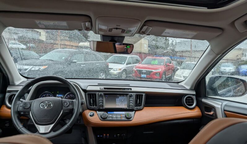 2017 Toyota RAV4 Platinum 4X4 full