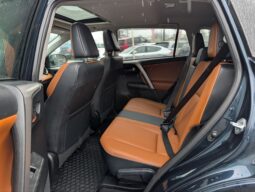 2017 Toyota RAV4 Platinum 4X4 full