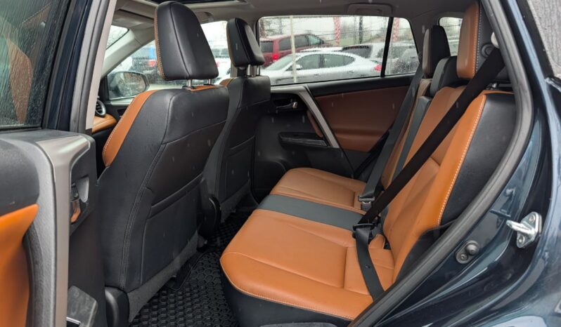 2017 Toyota RAV4 Platinum 4X4 full