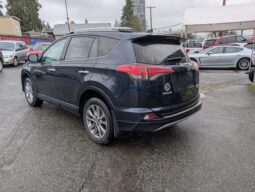 2017 Toyota RAV4 Platinum 4X4 full