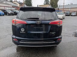 2017 Toyota RAV4 Platinum 4X4 full
