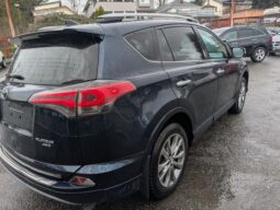 2017 Toyota RAV4 Platinum 4X4 full
